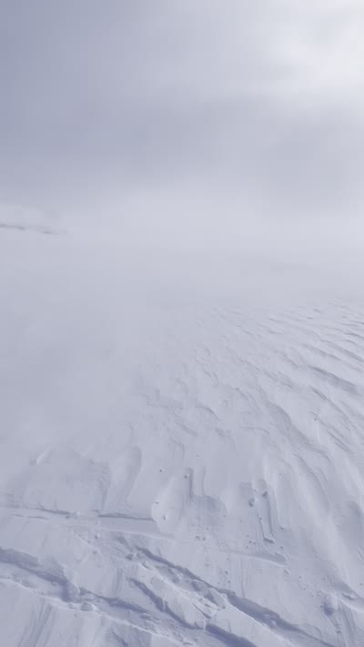 Video: NPL - 38.webm